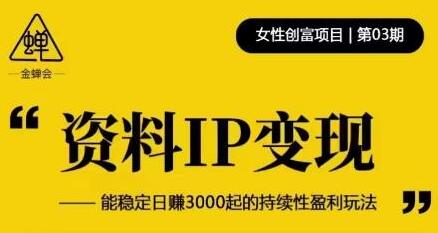 资料IP变现,能稳定日赚3000起的持续性盈利玩法-冒泡网