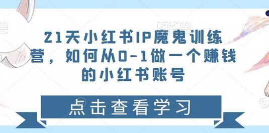 21天小红书IP魔鬼训练营,如何从0-1做一个赚钱的小红书账号-冒泡网