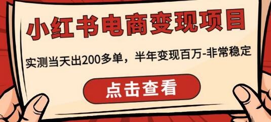 顽石·小红书电商变现项目,实测当天出200多单,半年变现百万,非常稳定-冒泡网