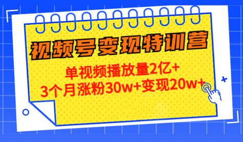 20天视频号变现特训营:单视频播放量2亿+3个月涨粉30w+变现20w+-冒泡网