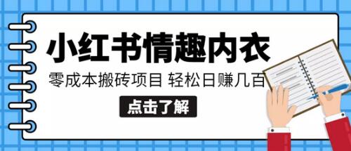 小红书0成本情趣内衣搬砖项目,轻松日赚几百+-冒泡网