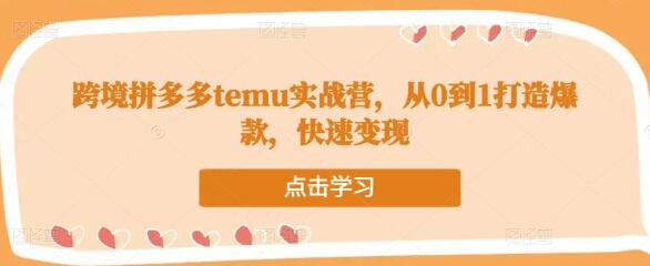 跨境拼多多temu实战营,从0到1打造爆款,快速变现-冒泡网