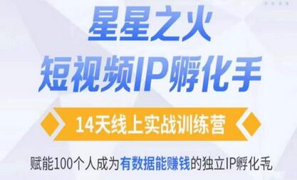 瑶瑶·自然流短视频IP孵化第二期,14天线上实战训练营,赋能100个人成为有数据能赚钱的独立IP孵化手-冒泡网