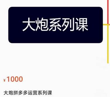 大炮拼多多运营系列课,各类玩法合集,拼多多运营玩法实操-冒泡网