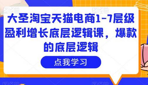 大圣淘宝天猫电商1-7层级盈利增长底层逻辑课,爆款的底层逻辑-冒泡网