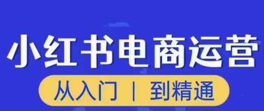 顽石小红书电商高阶运营课程,从入门到精通,玩法流程持续更新-冒泡网
