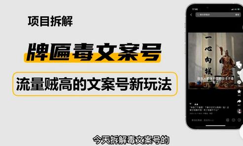 2023抖音快手毒文案新玩法,牌匾文案号,起号快易变现-冒泡网