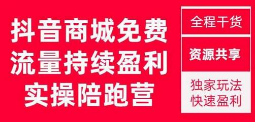 抖音商城搜索持续盈利陪跑成长营,抖音商城搜索从0-1、从1到10的全面解决方案-冒泡网