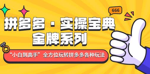 拼多多·实操宝典:金牌系列“小白到高手”带你全方位玩转拼多多各种玩法-冒泡网