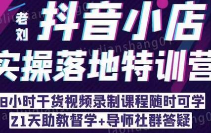 抖音小店实操落地特训营：抖音小店无货源精细化运营，抖店商品卡流量（22节）-冒泡网