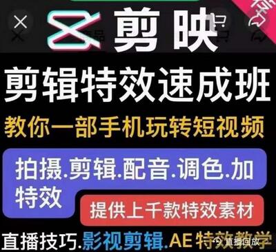 特效罗剪辑特效速成班：一部手机玩转短视频提供上千款特效素材【无水印】-冒泡网