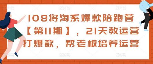 108将淘系爆款陪跑营【第11期】,21天教运营打爆款,帮老板培养运营-冒泡网