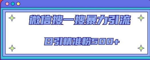 微信搜一搜引流全系列课程,日引精准粉500+(8节课)-冒泡网