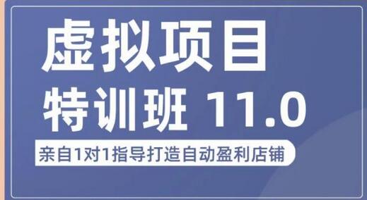 陆明明·虚拟项目特训班（10.0+11.0），0成本获取虚拟素材，0基础打造自动盈利店铺-冒泡网