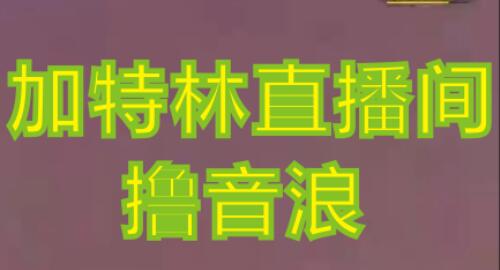 抖音加特林直播间搭建技术,抖音0粉开播,暴力撸音浪,2023新口子每天800+【素材+详细教程】-冒泡网