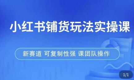 小红书铺货玩法实操课，流量大，竞争小，非常好做，新赛道，可复制性强，可团队操作-冒泡网