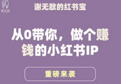 谢无敌·小红书运营大宝典,从0带你做个赚钱的小红书IP-冒泡网