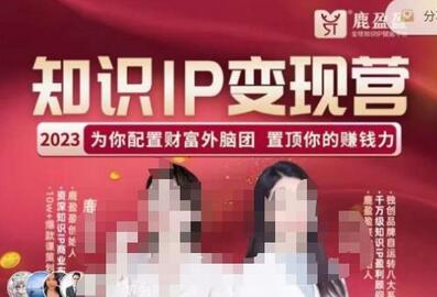 鹿盈盈-知识IP变现实操营,普通人可复制的知识产品落地实操课,带你打通知识IP变现底层逻辑-冒泡网
