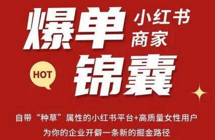 无畏·小红书商家爆单锦囊，掌握小红书各大规则，快速精准抢占行业和市场-冒泡网