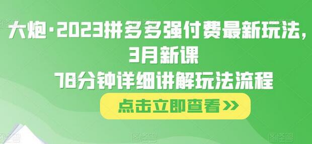 大炮·2023拼多多强付费最新玩法,3月新课78分钟详细讲解玩法流程-冒泡网