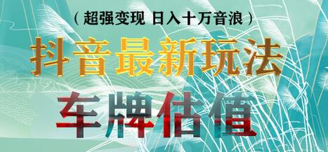 抖音最新无人直播变现直播车牌估值玩法项目，轻松日赚几百+【详细玩法教程】-冒泡网