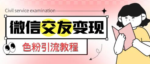微信交友变现项目，吸引全网LSP男粉精准变现，小白也能轻松上手，日入500+-冒泡网