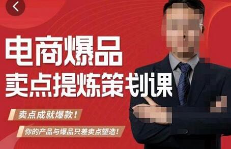 大圣·电商标品爆款卖点策划课，标品卖点成就爆款，可落地卖点提炼课-冒泡网