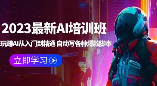 2023最新AI培训班：玩赚AI从入门到精通 自动写各种爆款脚本 (4月26更新)-冒泡网
