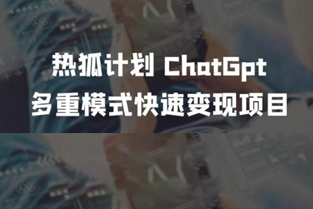 王大陆ChatGpt多重变现实操课，多种模式快速变现-冒泡网