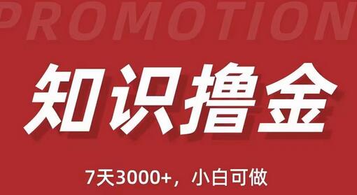 抖音知识撸金项目:简单粗暴日入1000+执行力强当天见收益(教程+资料)-冒泡网