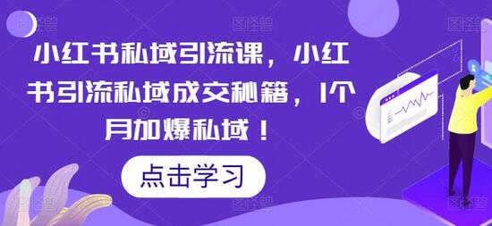 小红书私域引流课，小红书引流私域成交秘籍，1个月加爆私域！-冒泡网