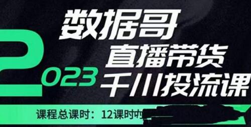 数据哥2023直播电商巨量千川付费投流实操课,快速掌握直播带货运营投放策略-冒泡网