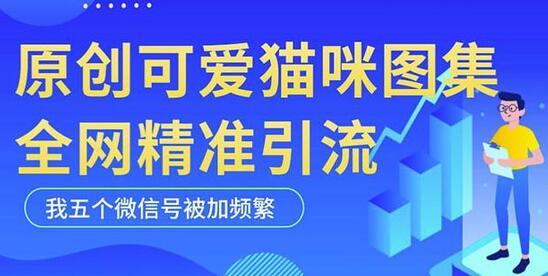 黑科技纯原创可爱猫咪图片，全网精准引流，实操5个VX号被加频繁-冒泡网