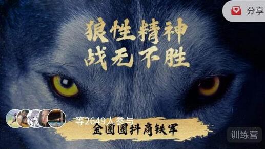 金圈圈达人变现训练营,7天学会如何破解抖音视频号快手流量密码,7天掌握4大流量变现技巧-冒泡网