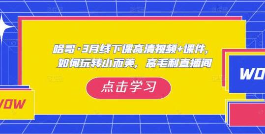 哈哥·3月线下实操课高清视频+课件，如何玩转小而美，高毛利直播间-冒泡网