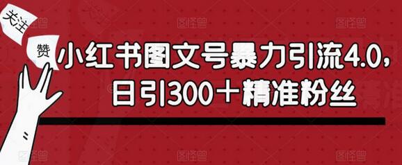 小红书图文号暴力引流4.0,日引300+精准粉丝【揭秘】-冒泡网