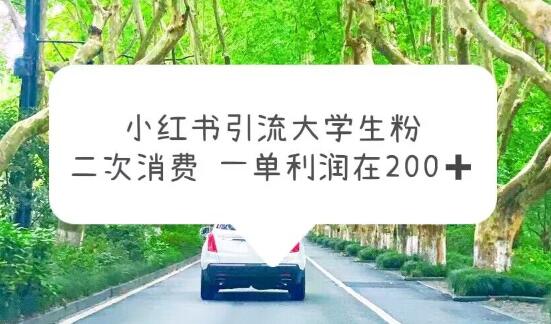 小红书引流大学生粉，变现项目，一单利润在200+（教程+资源）-冒泡网