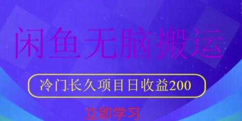 闲鱼无脑搬运,冷门长久项目,日收益200-冒泡网