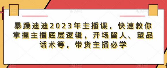 暴躁迪迪2023年主播课，快速教你掌握主播底层逻辑，开场留人、塑品话术等，带货主播必学-冒泡网
