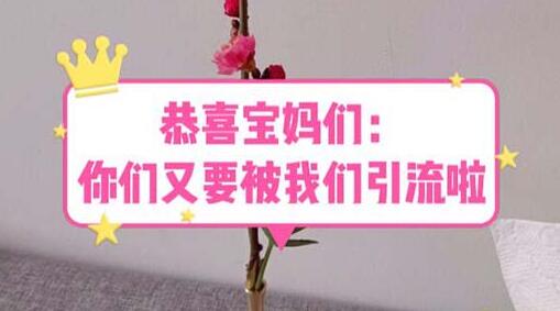 恭喜宝妈们：你们又要被我们引流了（教程+222g资料）-冒泡网