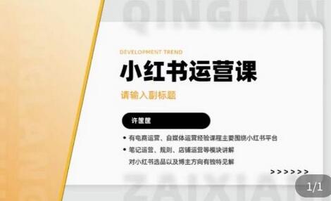 许筐筺·小红书运营课，​笔记运营、规则、店铺运营等模块讲解，学会自己独立运营小红书账号-冒泡网