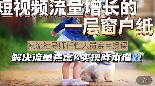 任性大舅·宠物行业短视频运营课(不讲废话)，短视频流量增长的一层窗户纸，解决流量焦虑&实现降本增效-冒泡网