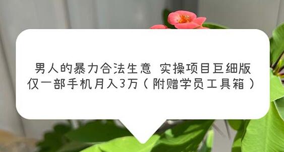 男人的暴力合法生意实操项目巨细版：仅一部手机月入3w（附赠学员工具箱）-冒泡网