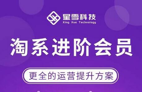 星雪·淘系进阶课程，快速提升突破技能流量瓶颈必备（更新2023年5月）-冒泡网