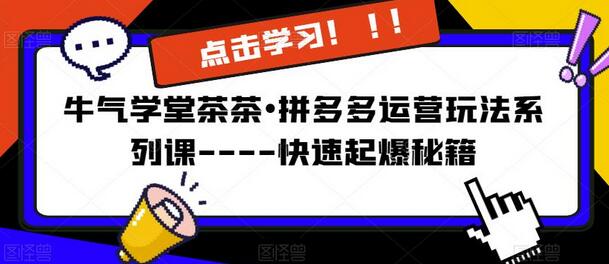 牛气学堂茶茶•拼多多运营玩法系列课—-快速起爆秘籍【更新】-冒泡网