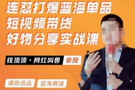 网红叫兽·连怼打爆蓝海单品，短视频带货好物分享实战课-冒泡网