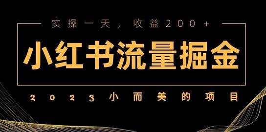 2023小而美的项目，小红书流量掘金，实操一天，收益200+【揭秘】-冒泡网