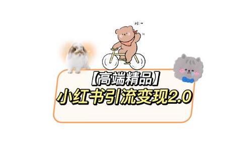 小红书最新引流变现教程，全网最新最详细的视频教程以及素材-冒泡网