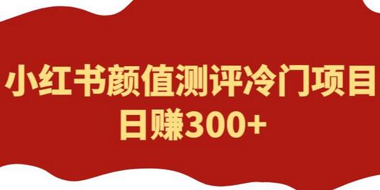 外面1980的项目，小红书颜值测评冷门项目，日赚300+【揭秘】-冒泡网