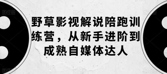 野草影视解说陪跑训练营，从新手进阶到成熟自媒体达人-冒泡网